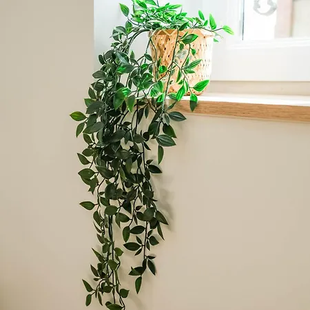 Apartman La Capsule - Design Et Cosy